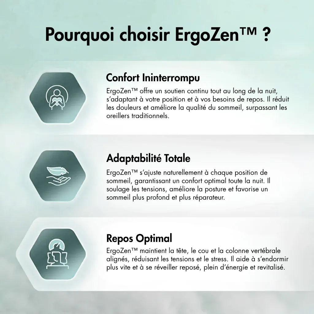 ErgoZen - Coussin Orthopédique