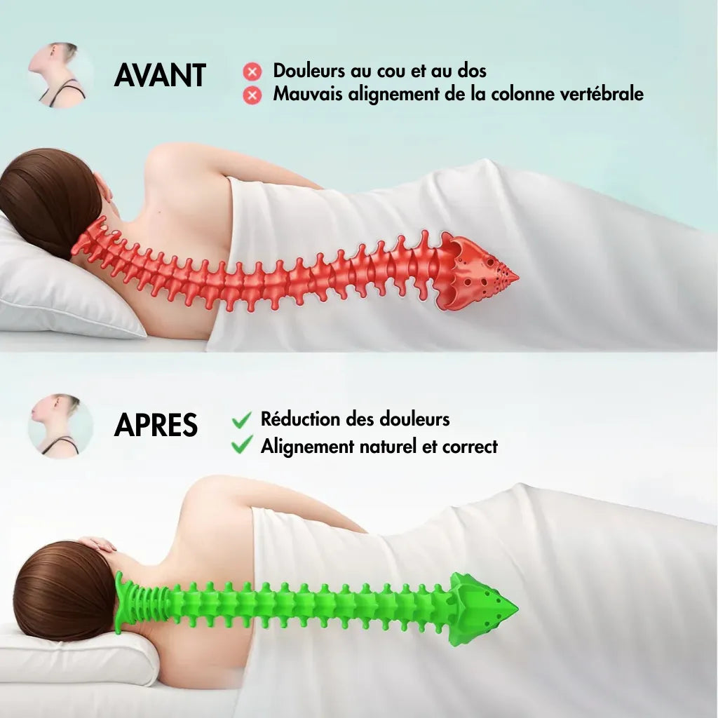 ErgoZen - Coussin Orthopédique